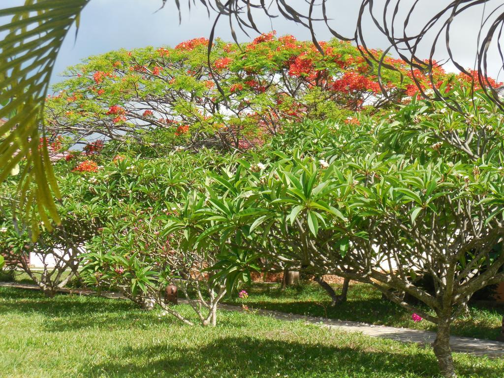 Swahili Beach Resort Zanzibar Exteriör bild